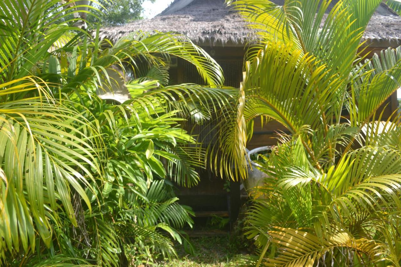 Otres Jungle Bungalows Ξενοδοχείο Σίχανουκβιλ Εξωτερικό φωτογραφία